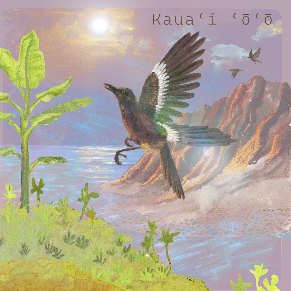 Artwork for a song called kaua'i 'o'o